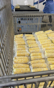 photo_2024-10-31_08-58-58